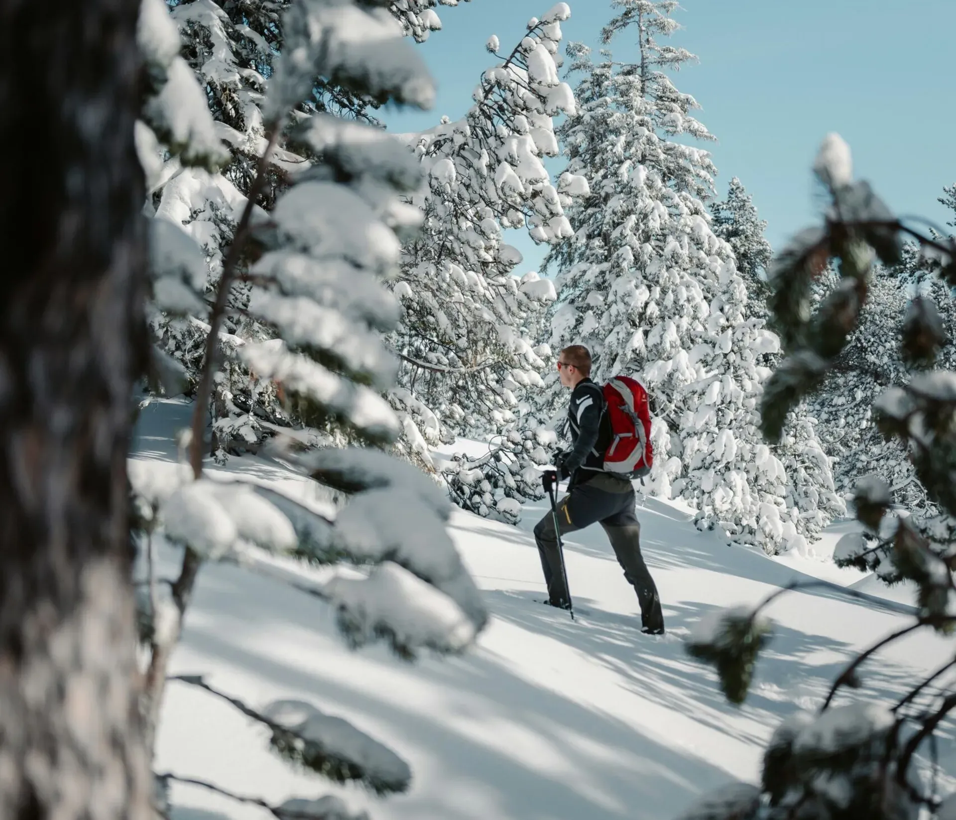 Escursionista durante un trekking invernale in una radura di bosco ricoperta da neve fresca, camminando su un sentiero non battuto dopo una recente nevicata.