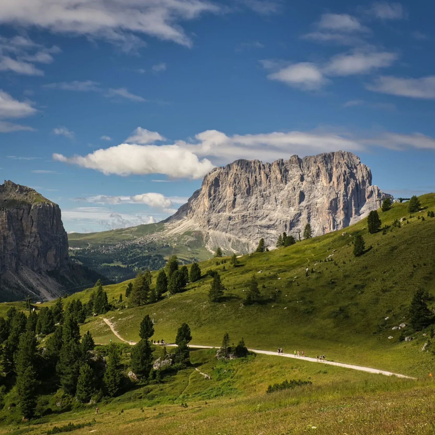 Summer view from Passo Gardena towards the Sassolungo, with grassy meadows in the foreground and the Sassolungo massif in the background; a portion of the Sella massif is also visible on the right.